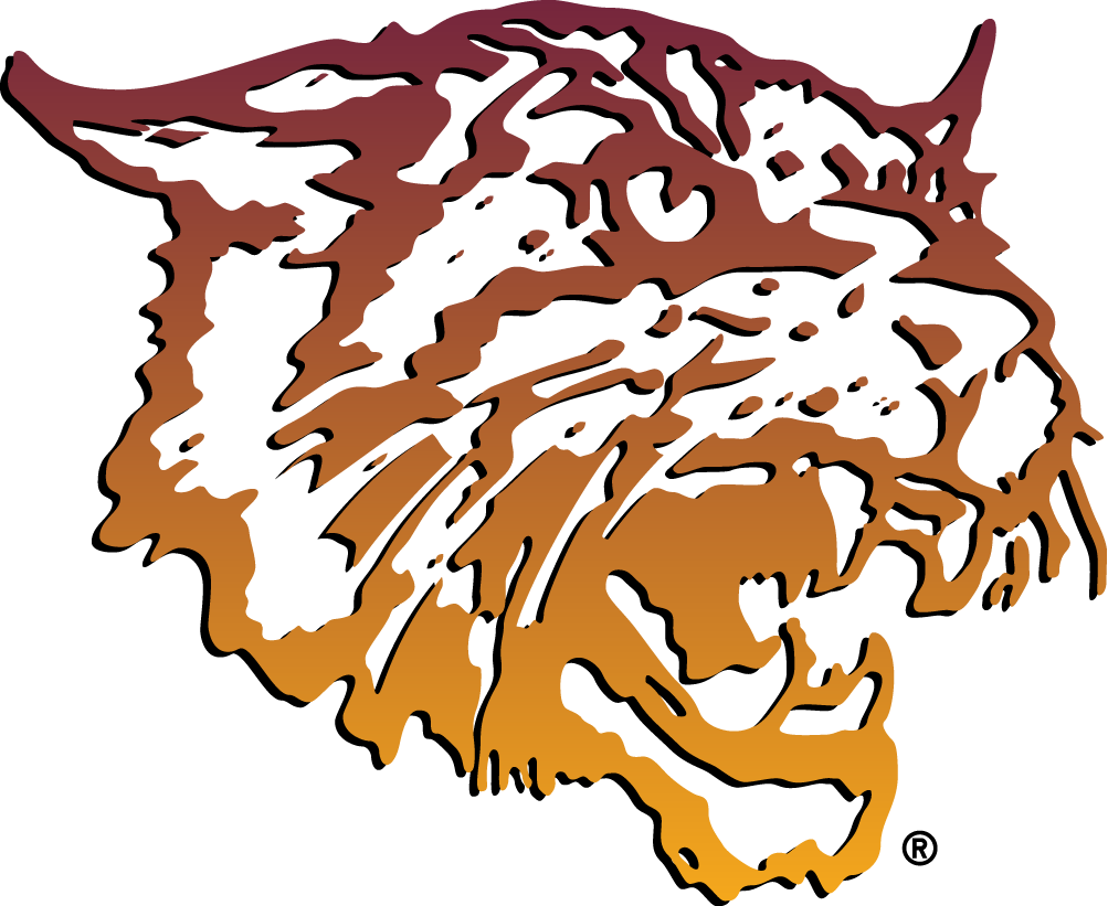 Bethune-Cookman Wildcats 2000-2015 Primary Logo diy iron on heat transfer
